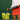 Pickleball Ball Hoppers® - Gamma Sports