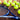For Tennis Players - Gamma Sports