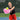 GAMMA Fusion Power Pickleball Paddle Gamma Sports