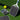 GAMMA Airbender 10 Pickleball Paddle - GAMMA Airbender 10 Pickleball Paddle