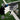 GAMMA Obsidian 10 Pickleball Paddle - GAMMA Obsidian 10 Pickleball Paddle