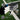 GAMMA Obsidian 16 Pickleball Paddle - GAMMA Obsidian 16 Pickleball Paddle