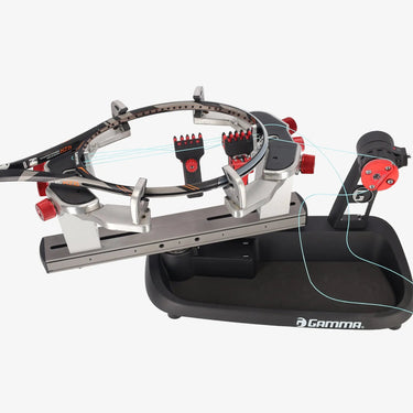 Momentum 6 - Momentum 6