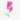 #style_pink