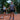 GAMMA Sapphire Tennis String - GAMMA Sapphire Tennis String