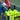 Tennis Ball Tube - Tennis Ball Tube