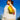 Tour Fanny Pack -